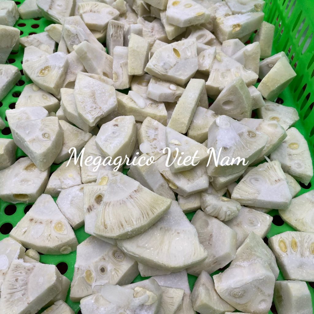 Frozen Young Jackfruit Fresh Vegetables Vietnam Megagrico Vietnam